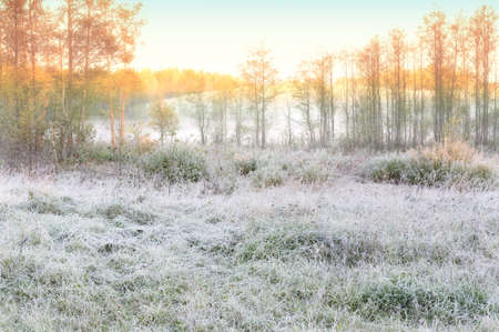 autumn landscape - very beautiful viewの写真素材