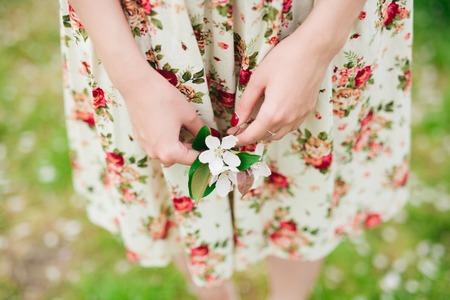 girl in flower dress holding sakura or cherry blossom in handsの写真素材