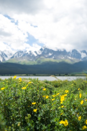 Majestic mountain lake in Altay with mountain.の写真素材