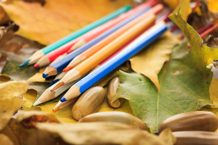 Autumn photoset with leaves, acorns and pencilsの写真素材