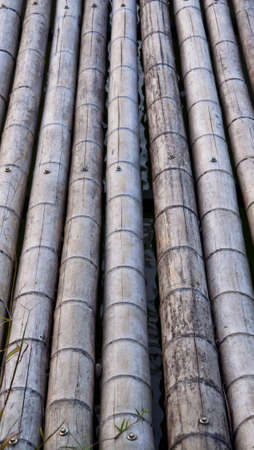 more gray spots dry bamboo