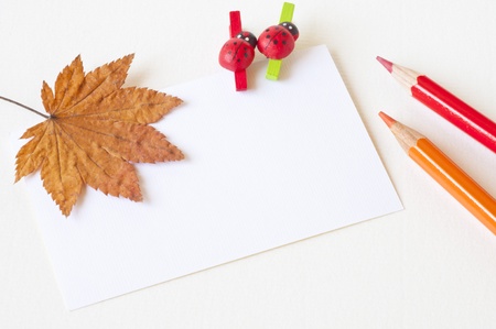 Maple Leaf two Ladybug Clip and red pencil on white paperの写真素材