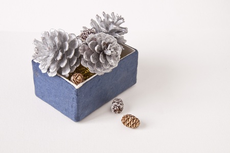 brown pinecone and silver pinecone in blue boxの写真素材