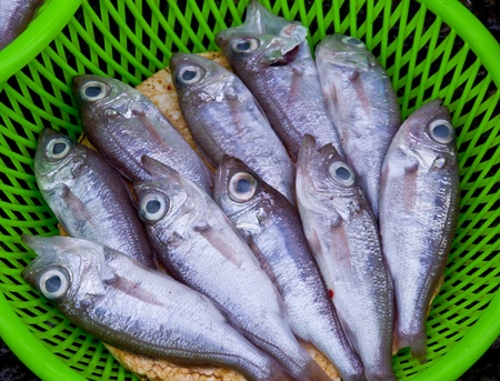 closeup variety of fresh fish seafood in green Basketの写真素材