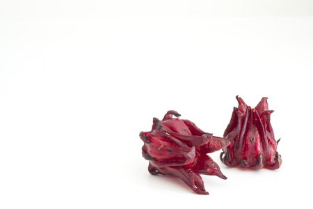 Roselle Hibiscus sabdariffa red fruit flower on white backgroundの写真素材