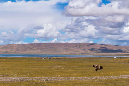 The scenery of Tibet under the blue sky and white cloudsの写真素材