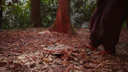 Man walking in the forest, shallow depth of field, focus on footの写真素材