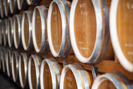 Rows of wine barrels in wine-vaults of the winery. Close-up
