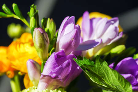 Beautiful bouquet of spring flowers purple campanula, close up.の写真素材