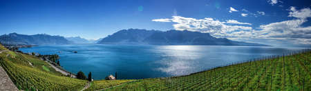 Famouse vineyards in Montreux against Geneva lake. Switzerlandの写真素材