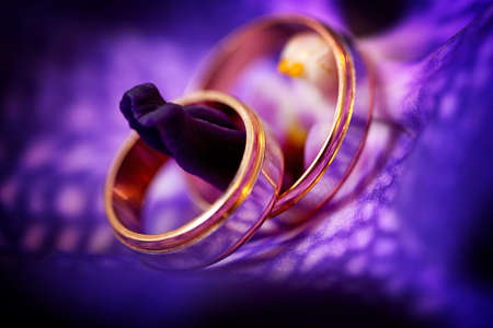 Two golden wedding rings on purple background with light soft.