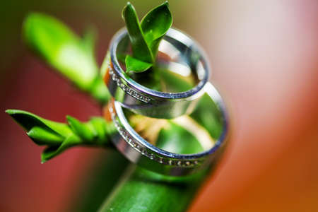 Engagement rings in white gold with diamonds against nature background.の写真素材