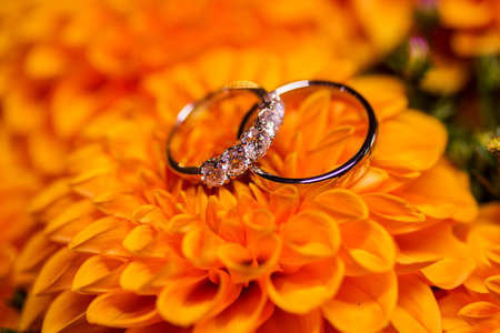 Beautiful golden wedding rings with diamonds on the orange flowers.の写真素材