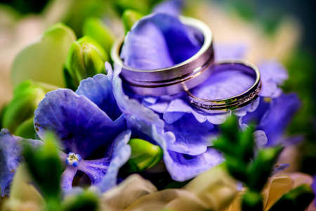 Two golden wedding rings on background purple flowers and greens.の写真素材