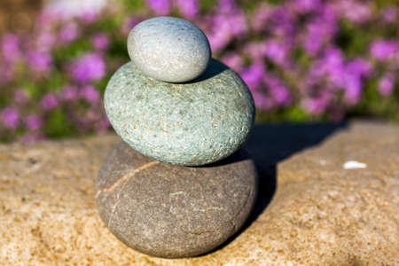 a large rock in a lush gardenの写真素材