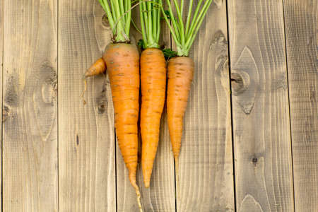 Fresh carrots on wooden boardの写真素材