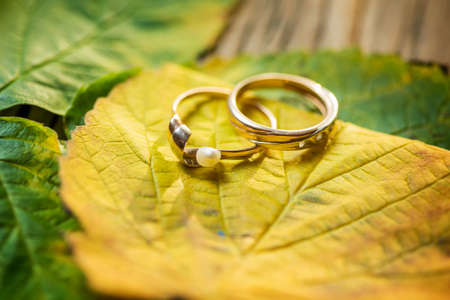 wedding rings decoration