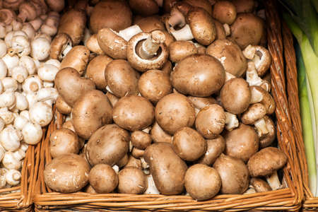 brown champignon mushrooms food background.