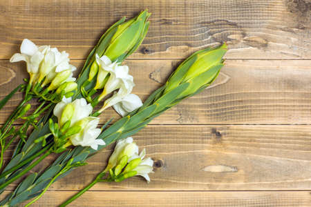 White Freesia flowers. Bouquet on wooden boards.の素材 [FY310159715143]