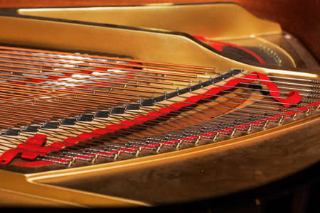 Grand piano strings, steel wire core wound with copper wireの写真素材