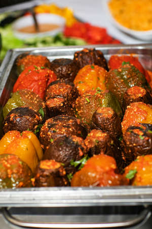 On the table stands a plate of delicious steamed eggplants. Alongside tomatoes, bread, coriander, hot peppers, basil around nature..の写真素材