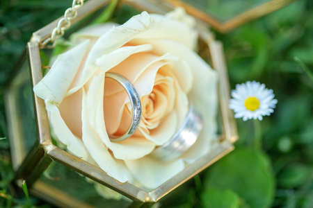 Wedding rings in gold on a blue flower orchidaceae, orchid, phalaenopsis ready for the bride and groom.の写真素材