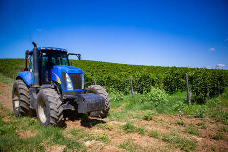 Blue tractor among vineyards during summertimeの写真素材