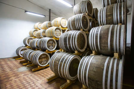 Rows of wine barrels in vaults at the winery.