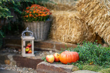 Beautiful autumn landscape with hay pumpkin. Colorful foliage in the park.の写真素材