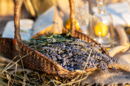 Bunch of freshly cut lavender in a basketの写真素材