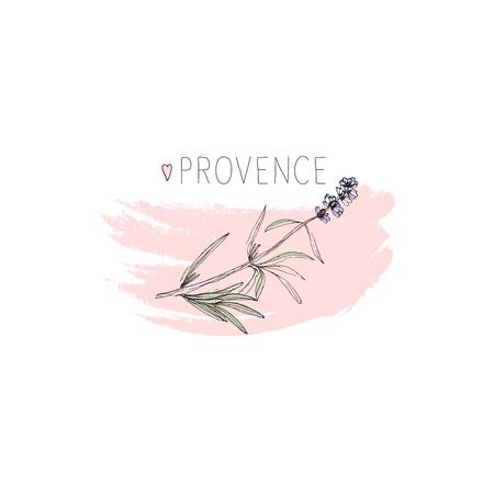 Provence floral hand drawn illustration. Cute Travel conceptのイラスト素材