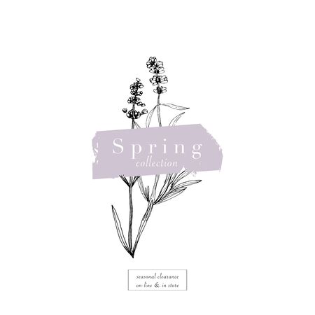 Elegant social media trendy feminine dusty lavender floral elements and templatesのイラスト素材