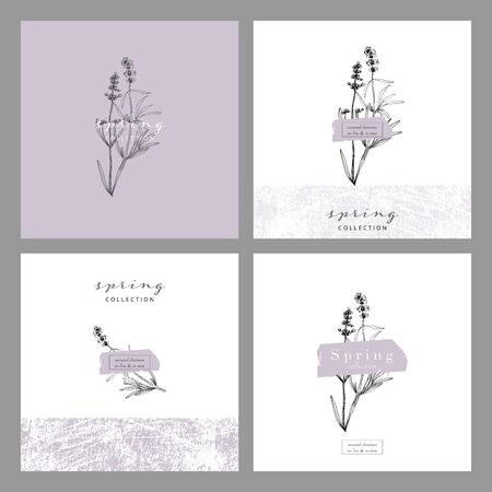 Elegant social media trendy feminine dusty lavender floral elements and templatesのイラスト素材