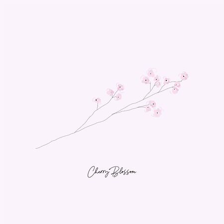 hand drawn Cherry Blossom Floral tree branch illustrationのイラスト素材