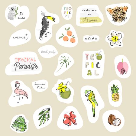 Summer cartoon doodle hand drawn vector elementsの写真素材