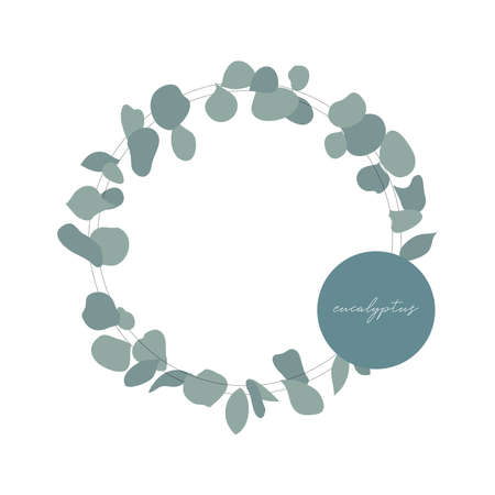 botanical illustration of wreath of eucalyptus plant leavesのイラスト素材