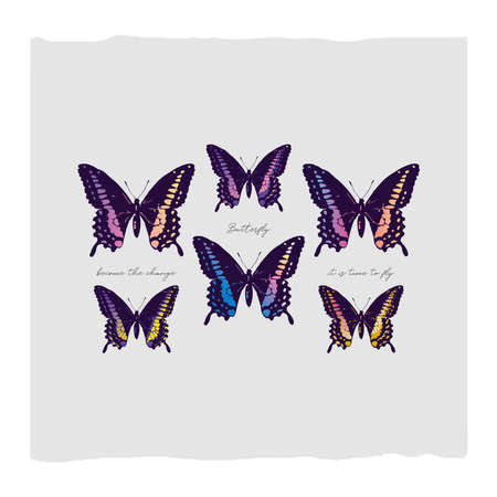Butterfly abstract illustrationのイラスト素材