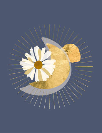 Modern abstract celestial background illustrations goldの写真素材