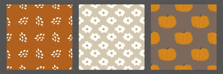 Autumn harvest pumpkin Seamless Patterns setのイラスト素材