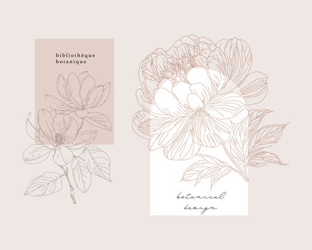 Spring bloom flowers. Floral design elements, greeting cardのイラスト素材