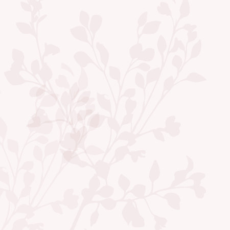 Delicate floral pattern, botanical Japandi style conceptのイラスト素材