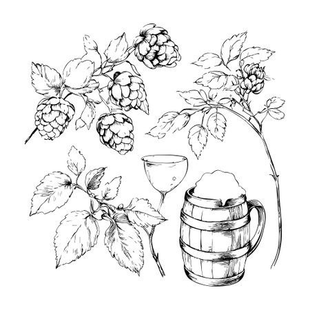 Hops and beer barley hand drawn illustrationのイラスト素材