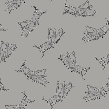 Seamless pattern with grasshoppers contours on gray background for textile, paper, prints etc.の写真素材