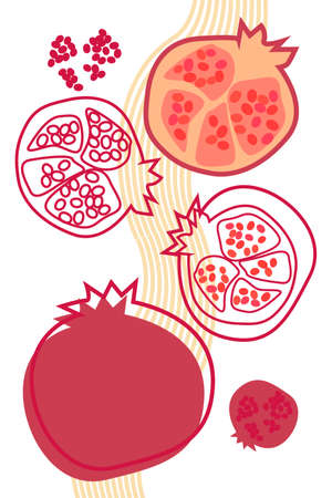 Pomegranate drawn flat fruit and outline vectorのイラスト素材