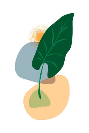 Abstract flat design with drawn tropic leaf and shapes on white vecor illustration EPS10のイラスト素材
