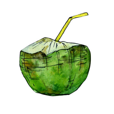 Coconut juice isolated on white background hand drawn watercolor clip artの写真素材