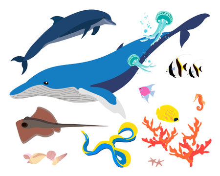 Some of the sea and ocean inhabitats vector flat set EPS10のイラスト素材