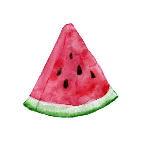 Watermelon triangle slice hand drawn watercolor clip art isolated on white backgroundの写真素材