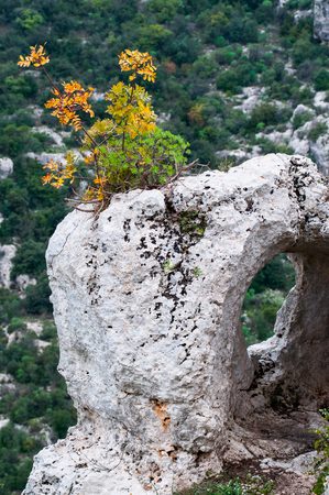 View of some tombs in the rock necropolis of Pantalica in east Sicilyの写真素材