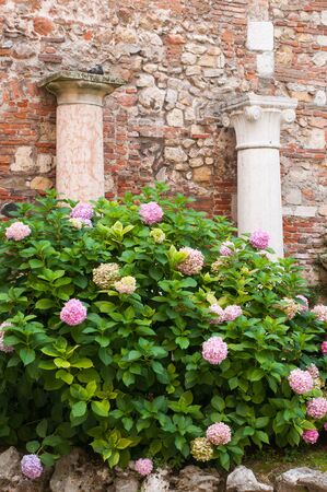 Two of the Roman style columns in the external courtyard of the olimpic theatre in Vicenza